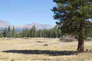 Tuolumne Meadows, Yosemite